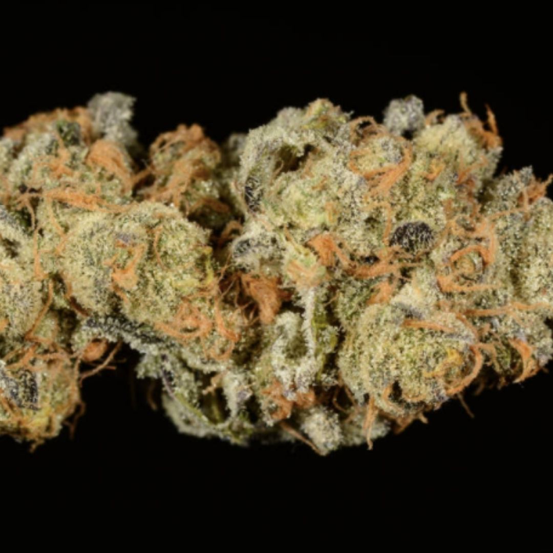 What is Girl Scout Cookies Strain?