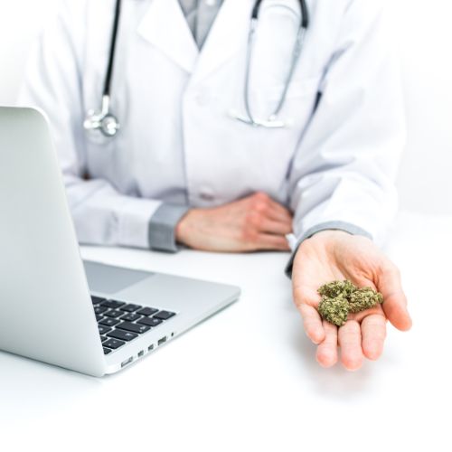 Medical Cannabis Doctor