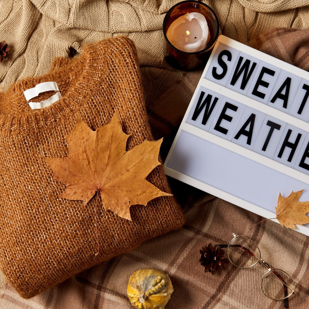 Must-Have Sweaters for Fall