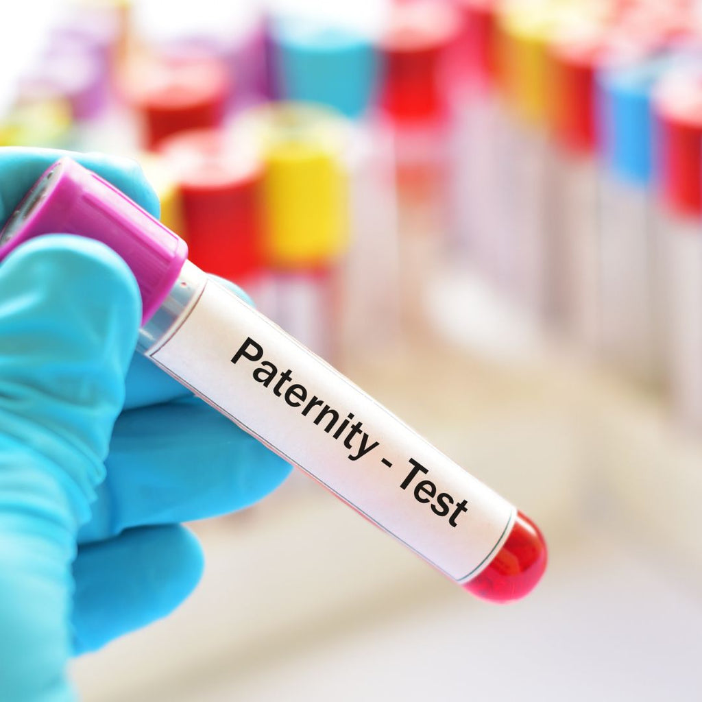 Paternity Testing