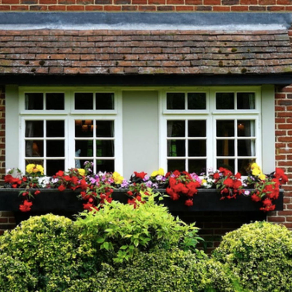 Curb Appeal Magic: 7 Expert Tips for Renovating Your House Exterior