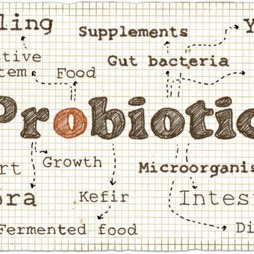 What Are Probiotics 